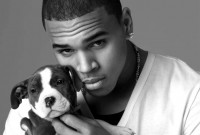/album/nuestra-m%c3%b9sica-com-uy/chris-brown-jpg/